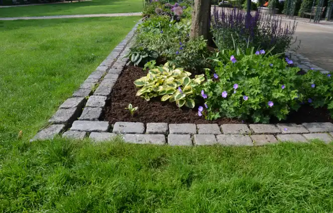 Choosing the Right Plants for Flower Bedding Success in Rockwall, TX