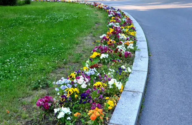 How Flower Bedding Enhances Curb Appeal Naturally Rockwall, TX