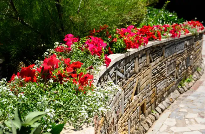 How Flower Bedding Enhances Curb Appeal Naturally in Rockwall, TX