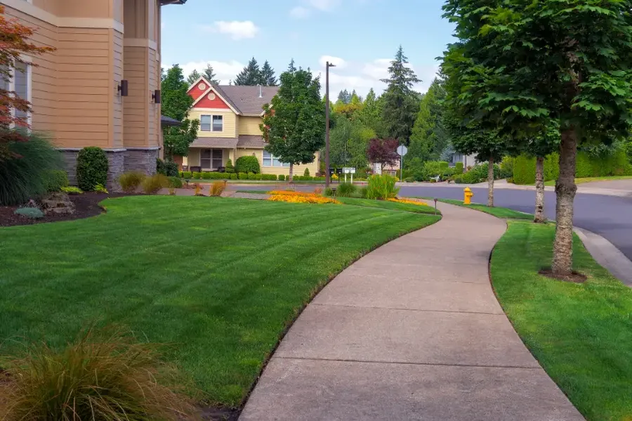 How Lawn Maintenance Prevents Weed Growth And Soil Erosion in Rockwall, TX