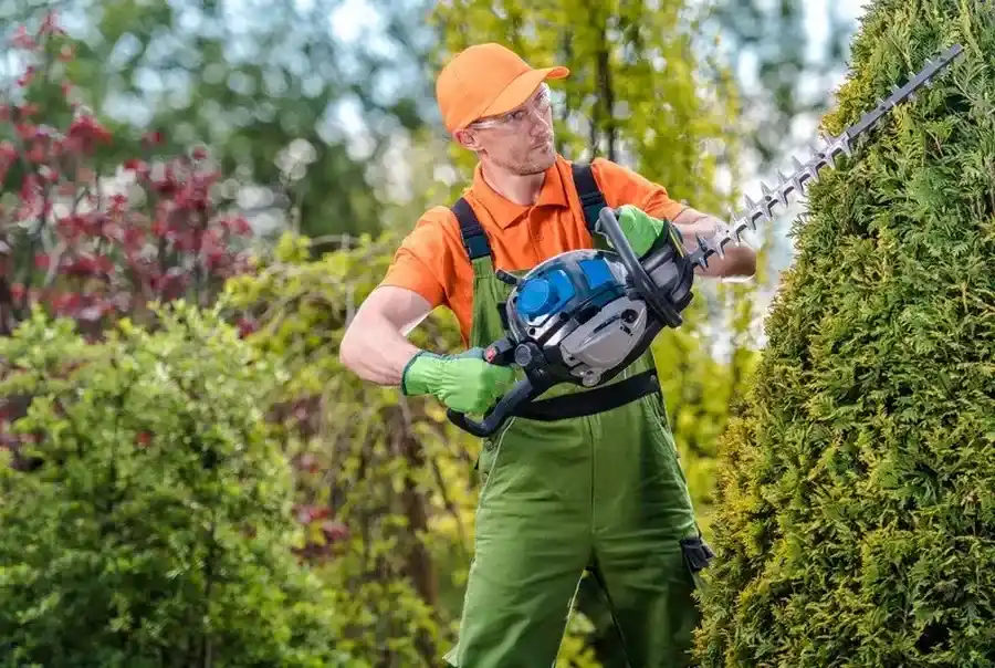 Should You Hire A Professional For Bush Trimming Services Rockwall, TX