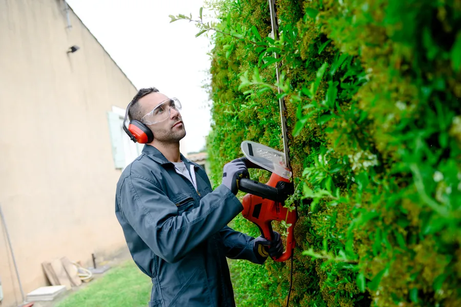 Why Bush Trimming Is Essential For Healthy Landscapes in Rockwall, TX